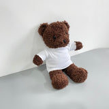 50 Pack China Warehouse Lovely teddy bears with removable blank sublimation t-shirts-CNCC