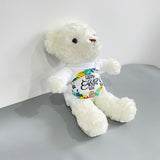 50 Pack China Warehouse Lovely teddy bears with removable blank sublimation t-shirts-CNCC